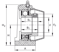直立式軸承座單元 PSHE40-TV-FA125.5, 塑料軸承座，帶偏心鎖圈的外球面球軸承，帶 Corrotect? 涂層，P型密封